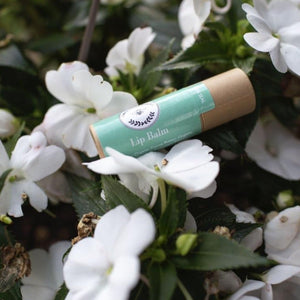 Beeswax Lip Balm